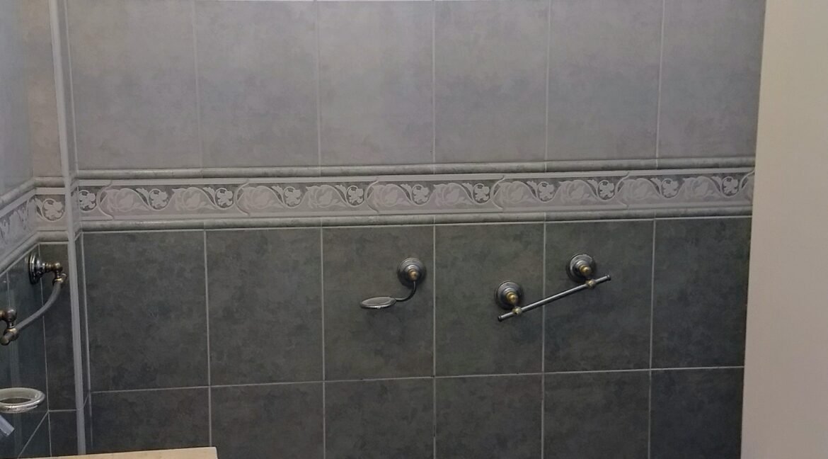 IMG_20250320_114219327~2