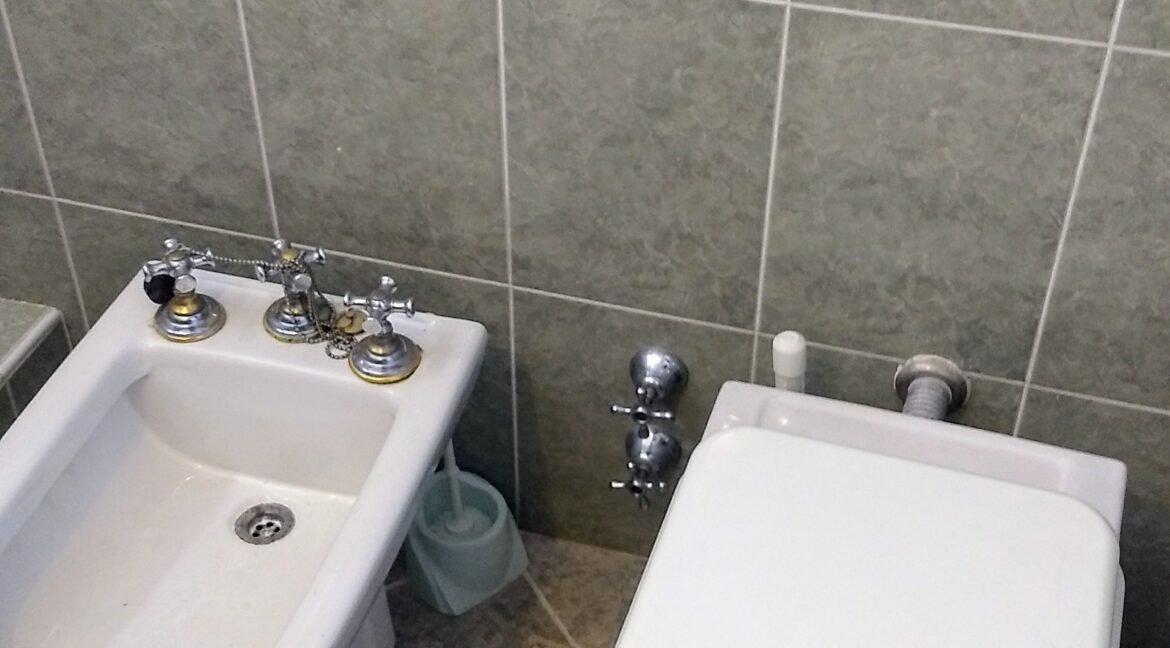 IMG_20250320_114235186~2