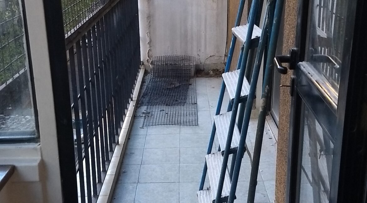 IMG_20240525_084459393