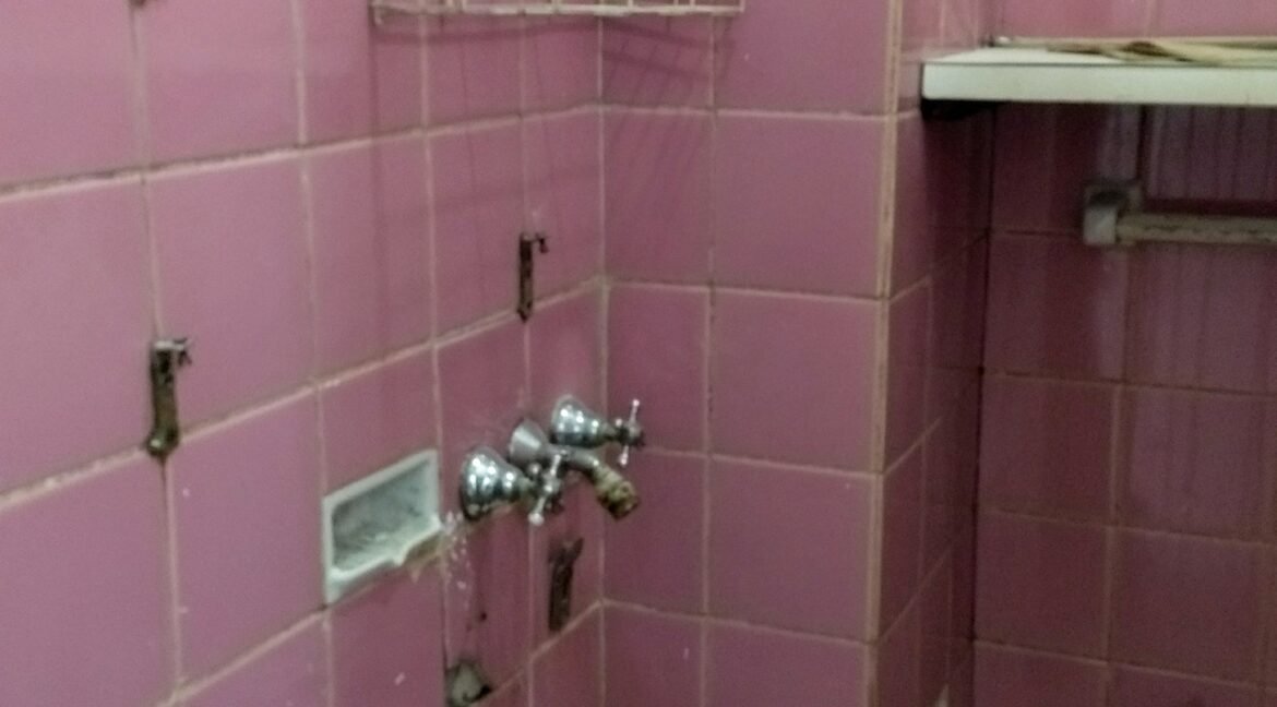 IMG_20240525_085103115~2