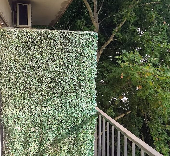 IMG_20260107_081825113_HDR_2